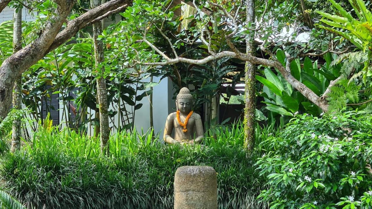 Ayurvedagram Bali Ξενοδοχείο Ουμπούντ Εξωτερικό φωτογραφία