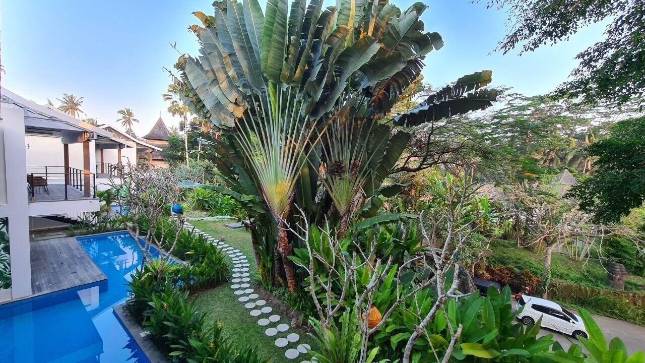 Ayurvedagram Bali Ξενοδοχείο Ουμπούντ Εξωτερικό φωτογραφία